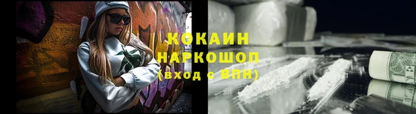 PSILOCYBIN Алзамай