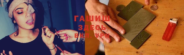 PSILOCYBIN Алзамай