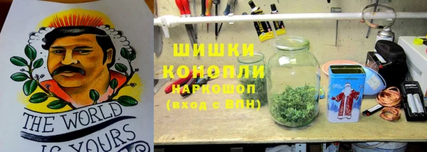 PSILOCYBIN Алзамай