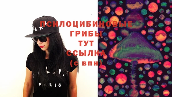 PSILOCYBIN Алзамай